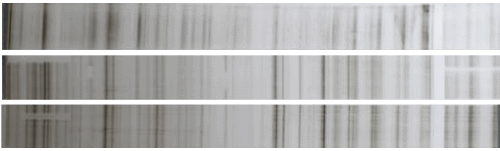 Chromium strip sample